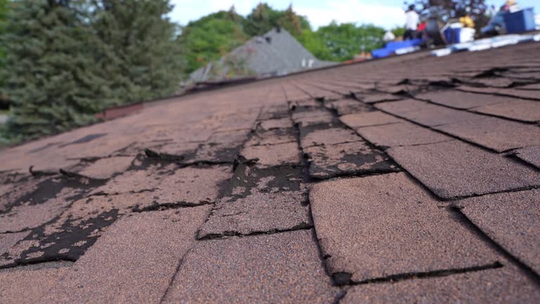 Best Steel Roofing  in Copiague, NY